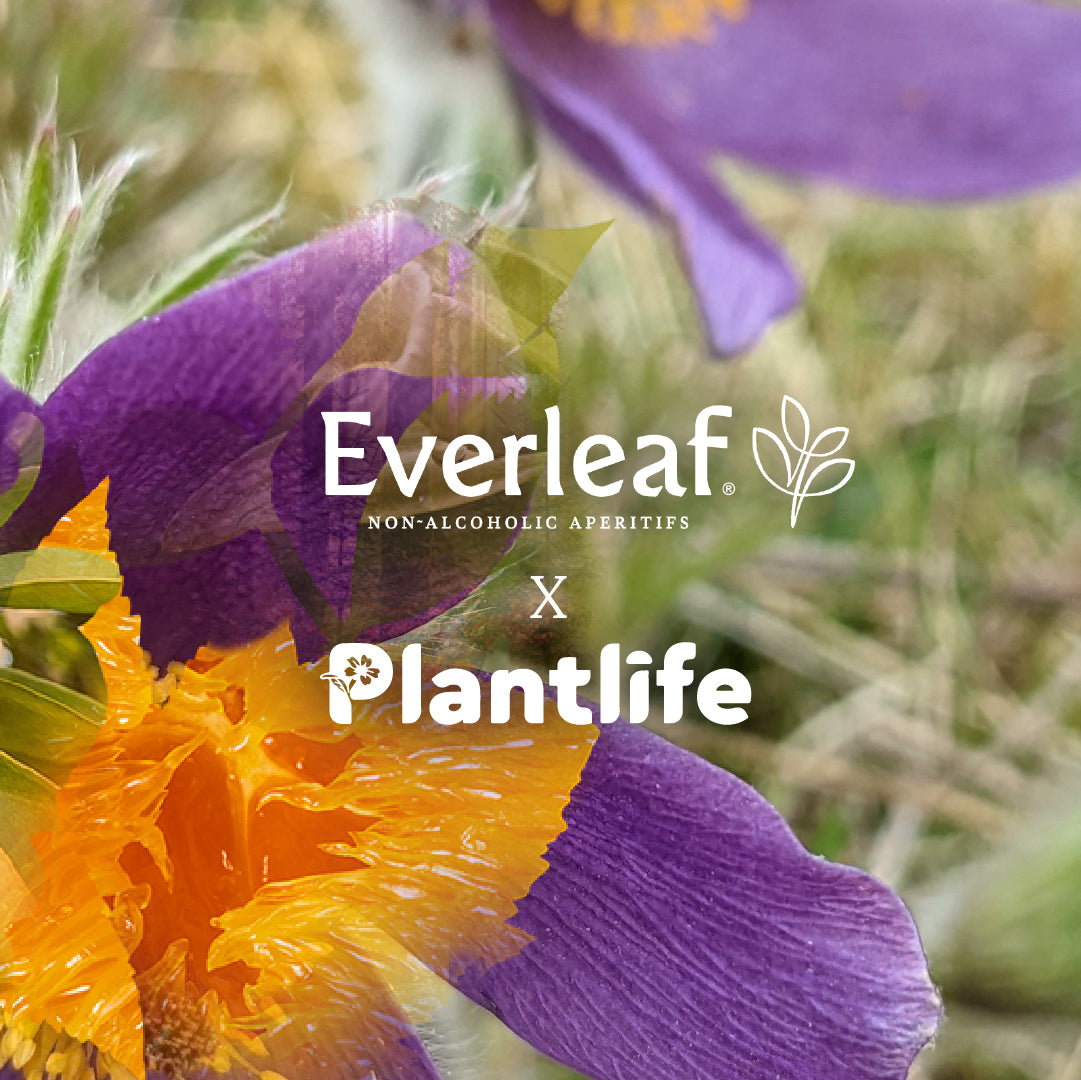 Everleaf x Plantlife International